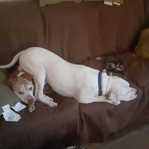 Meet your Posher, Lorraine